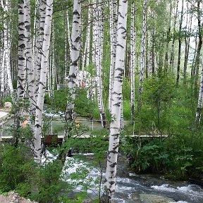 Фотография "Ущелье в Риддере"