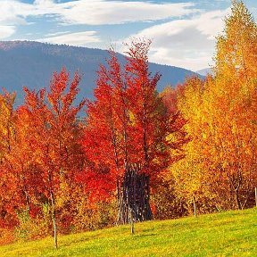 Фотография от Николай Гребенщиков