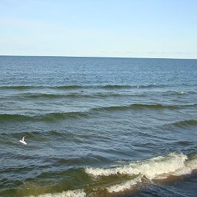 Фотография "Море..............Балтика........"