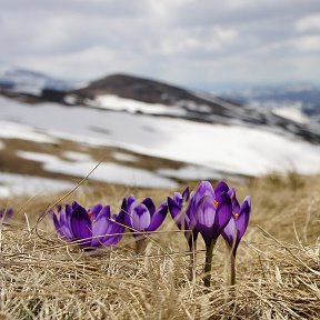 Фотография от Александр -----------------