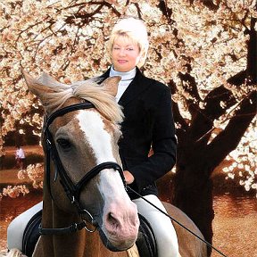Фотография "Выйду ночью в поле с конем
Ночкой темной тихо пойдем
Мы пойдем с конем по полю вдвоем
Мы пойдем с конем по полю вдвоем..."