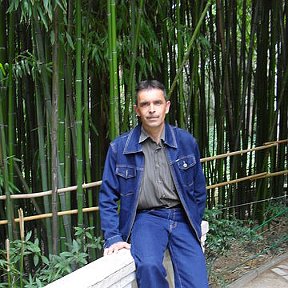 Фотография "около бамбуковой рощи"