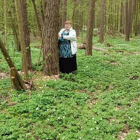 Фотография от Елена Терещенко (Бова)