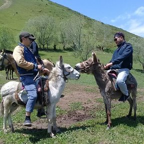 Фотография от Орозали Мамытов