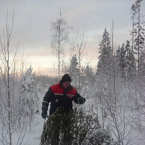 Фотография от Валерий Степанов