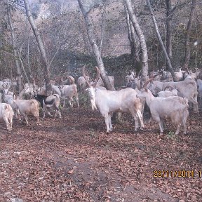 Фотография от Роман Ульянов