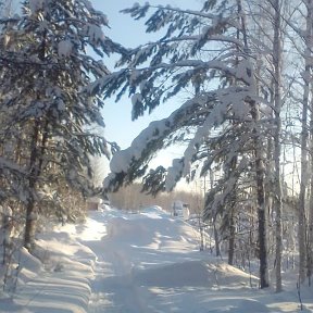 Фотография от Райза Бекмирзаева