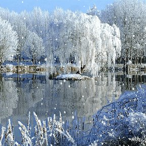 Фотография от Оксана Васильева