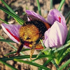 Фотография от Ольга Лёгкая( Umanets)