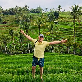 Фотография "о.Бали, рисовые террасы"