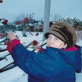 Фотография от Зинаида Неустроева