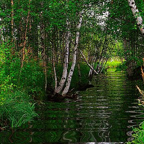 Фотография от Светлана Шулятьева (Жукова)