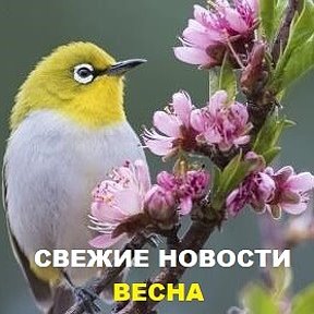 Фотография от Свежие Новости