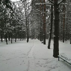 Фотография от Наталья Яганова