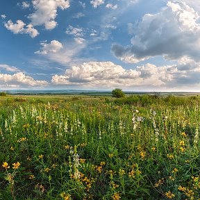 Фотография от Нина Селезько