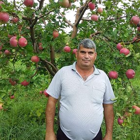 Фотография от Хамид Ширинов