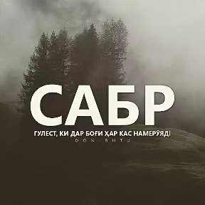 Фотография от S N