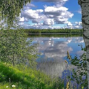 Фотография от Лидия Куприянова