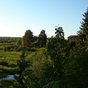 Фотография от Роман Герасимов