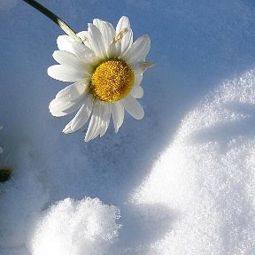 Фотография от Дулин Вано