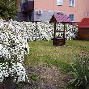 Фотография от Татьяна Сороковых (Гнездилова)