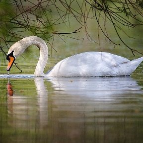 Фотография от Елена Онина