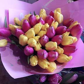 Фотография "Тюльпаны для меня от зятя. 😍😊 С Праздником Весны ! 💞💐"