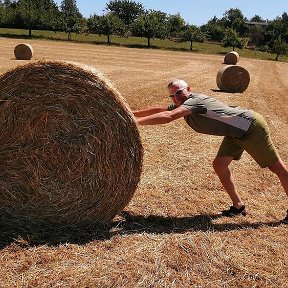 Фотография от Василий Михель