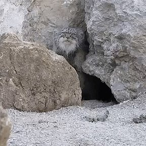 Фотография от Николай Скулкин