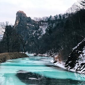 Фотография от Дикоросы Приморье