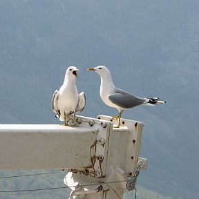 Фотография от Игорь Петров