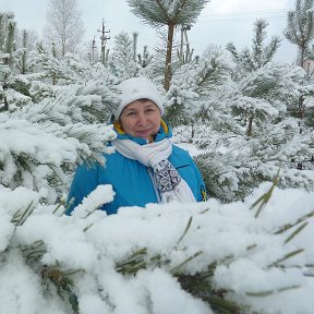 Фотография "Вот и зима! Дача "