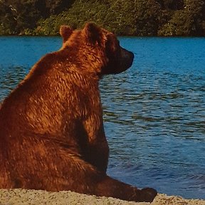 Фотография от Сергей Гончаров