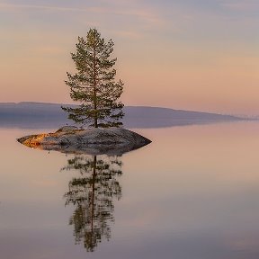 Фотография от Signy Olav