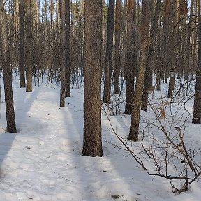 Фотография от Евгения М