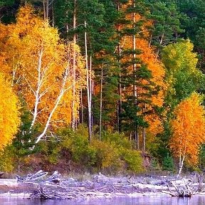 Фотография от Александр Березин