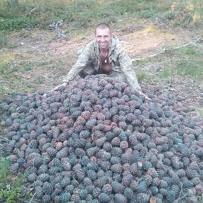 Фотография от Сергей Анисимов