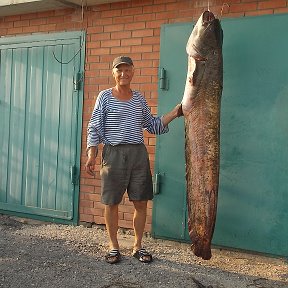 Фотография от Алексей Емелин