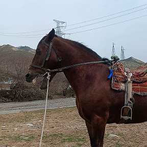 Фотография от Шавкат Азимов