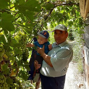 Фотография "Мои мл.внук Байсары-Байсон-будущий владелец этого сада,земли и всего хозяйства.Мы его называли  Байсары в честь нашего пра,пра прадеда,По нашей традиций невесты не должны звать своих дедушек по линий мужа.Поэтому внука зовут его мать и бабушка-Байсон,"