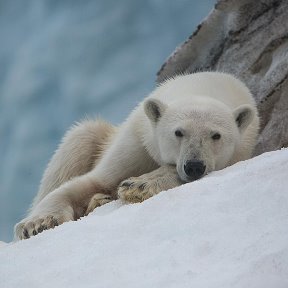 Фотография от Русская Арктика Национальный парк