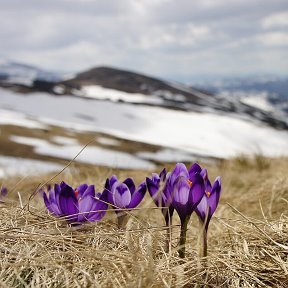 Фотография от Настёна Попова