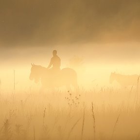 Фотография от Евгений Погонин