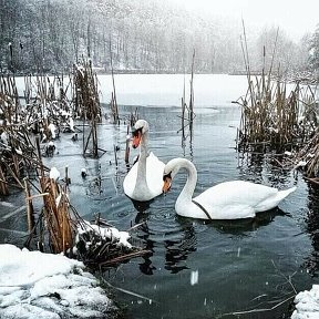 Фотография от Александр Флях