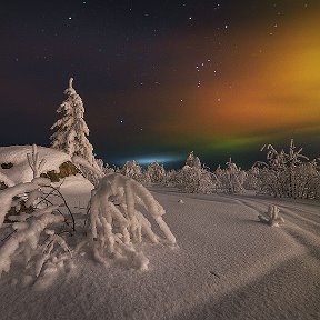 Фотография от Андрей Роот