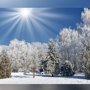 Фотография от Алёна Прокофьева