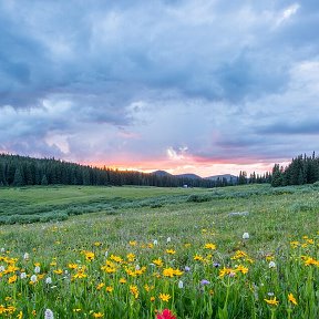 Фотография от АРТУР К