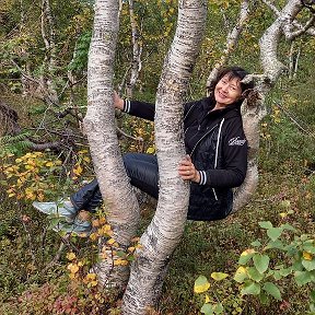 Фотография "Танцующие берёзки на берегу Сейдозера
Кольский п-ов
Сентябрь 2023"