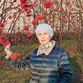 Фотография "На гроздья рябины дождинка упала, листочек кленовый кружит над землёй..... Ах, осень, опять ты врасплох нас застала, и снова надела наряд золотой..... "