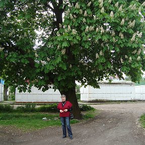 Фотография "Май 2014 г."